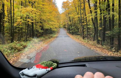 Beautiful Wisconsin Beach Retreat Lake Lucerne - Foto 50