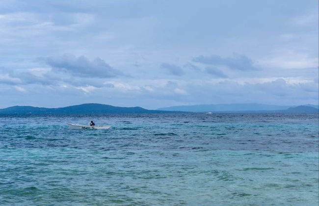 Avistamiento de delfines y ballenas en Bohol - Foto 6