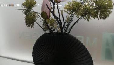 Schlafladen - Foto 4