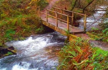 Casa o Furco - Foto 40