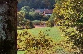 Apartment mit Gartenblick - Foto 25