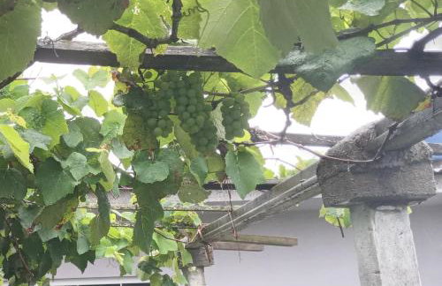 Casa 3 quartos próxima as praias até 8 hóspedes. - Foto 13