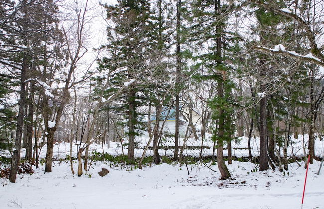 COTTAGE Yamajyu - Foto 59