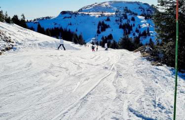 Appartement avec balcon au pied des pistes - Foto 6