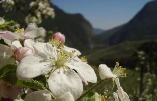 Agritur Agrihouse - Foto 27