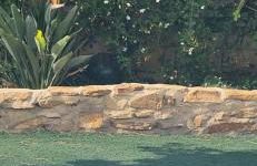 Casa de Andres - Foto 28