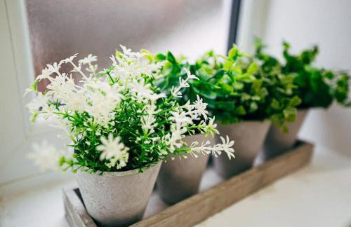 Park & Relax in 1bd Central Liverpool home - Foto 34