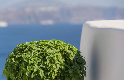 Pina Caldera Residence - Foto 60