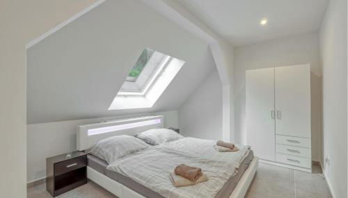 Seepferdchen - Foto 5