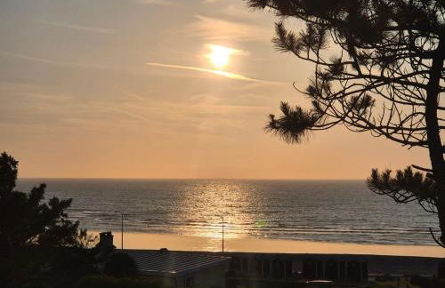 Je m'y plais - Foto 1