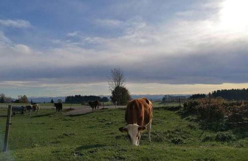 5Sterne Ferienwohnung im Fachwerk mit Bergblick in Alleinlage und großem Garten, Infrarotkabine - Foto 47