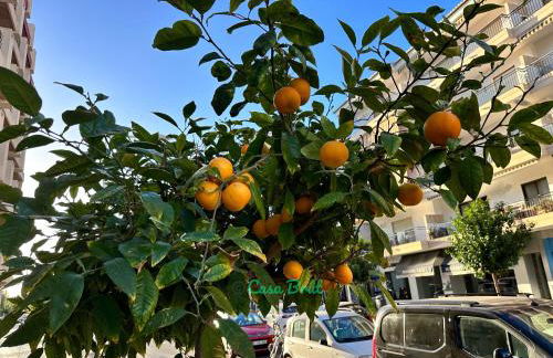 Casa Brût - OLIVA NOVA - Photo 30