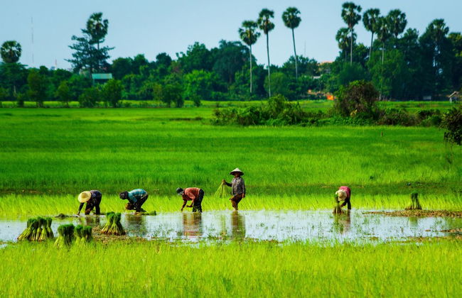 De Sarann Villa - Photo 37