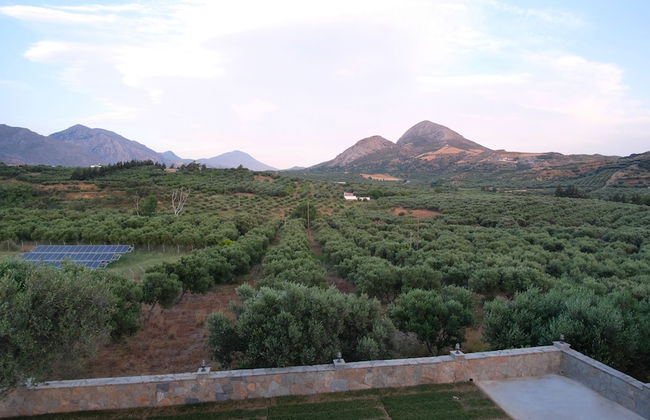 Terra Divina - Foto 61