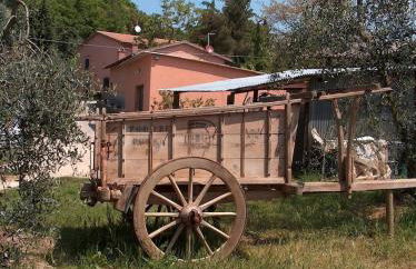 Agriturismo Il Loghino - Foto 19