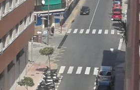 Flowers Denia - Photo 20