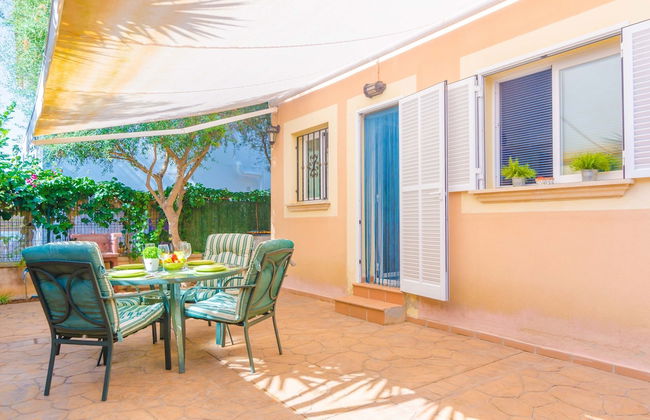 Bugambilia in Sa R Pita - Foto 3