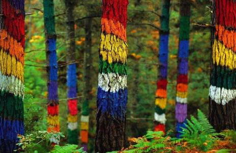 Amalur EBI 741 URDAIBAI - Photo 63