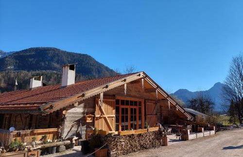 Nickis Bergcamp - Foto 32