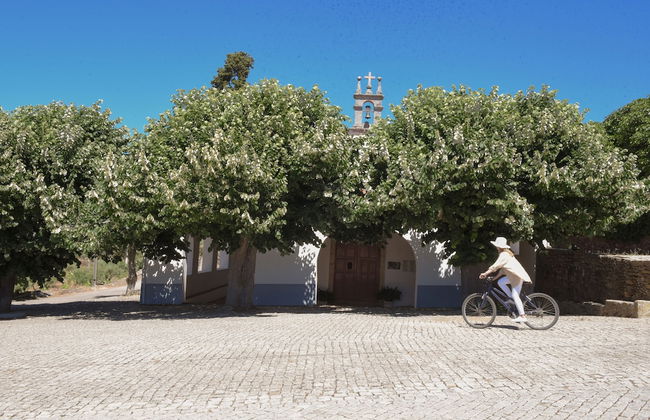 PH in Alto Douro Vinhateiro - Foto 68