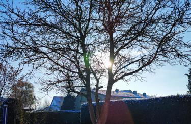 Apartment "Zur Rotbuche" - Photo 21