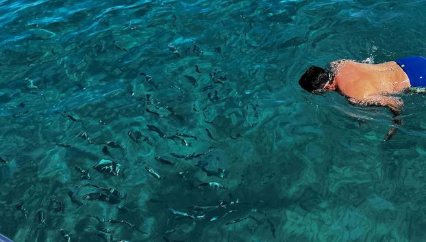 Boat Trip on the Cilento Coast - Foto 5