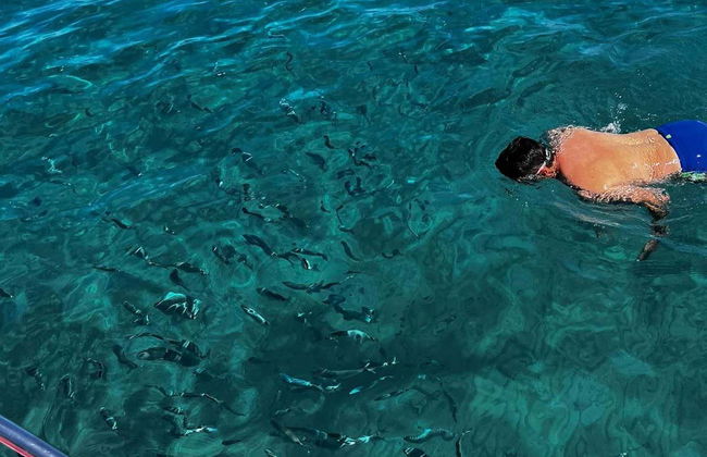 Boat Trip on the Cilento Coast - Foto 5