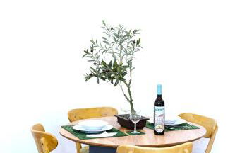 Belém River Apartment R/C - Photo 17