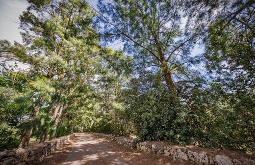 Torre Casciani - Foto 28