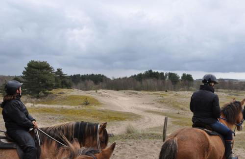 Le Crotoy - Entre ciel et mer - Photo 14