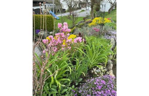 Seidl - Holiday Apartment - Foto 12