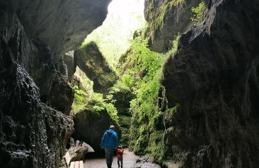 Apfelbluete und Paradies - Foto 29