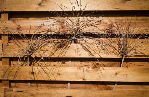 Mini Loft Tesa - Foto 12