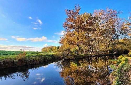 Gîte du Parc des Mauves - Photo 36