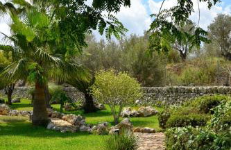 Agroturismo Ses Illes - Foto 118