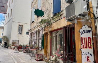 L'ALPILLE - Maison de vacances située à 10 mn à pied du centre ville de St Rémy avec place de parking privative - Foto 12