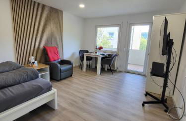 Gemütliche Einzimmerwohnung - Foto 1