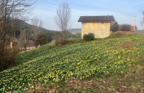 Maison 4 pers à Gérardmer entre lac et montagne avec terrasse - FR-1-589-836 - Photo 28