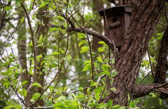 StorchenHof - Foto 43