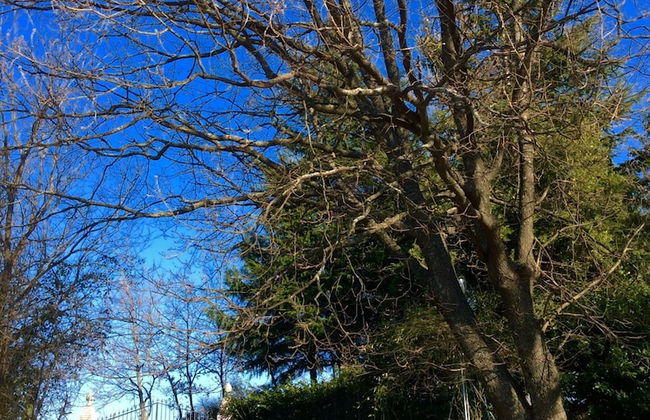 Cottage in Montefiore Near Forest and Beach - Photo 24