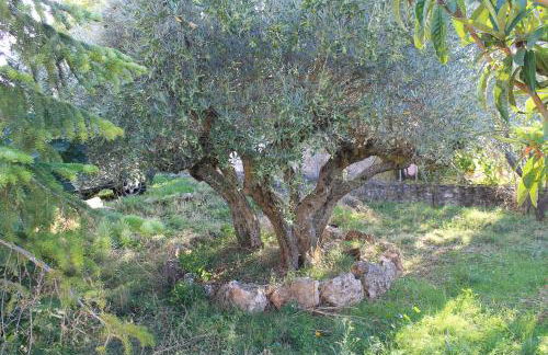 Casa Rural Baobab - Foto 12