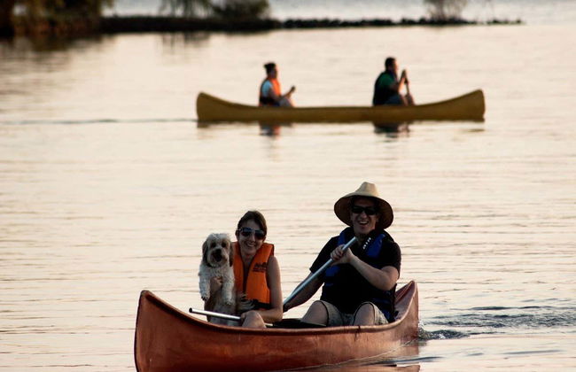 Golden Circuit Trip - Foto 2