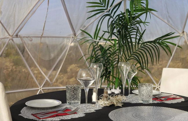 Finca La Florida - Foto 36