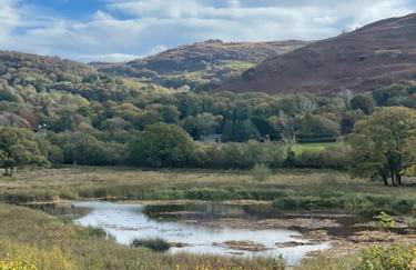 Poets Cottage Eglwys Fach - Foto 10