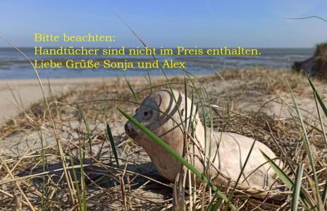 Seehund-Lilly - Foto 6