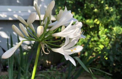 Designer's Town House - Foto 39