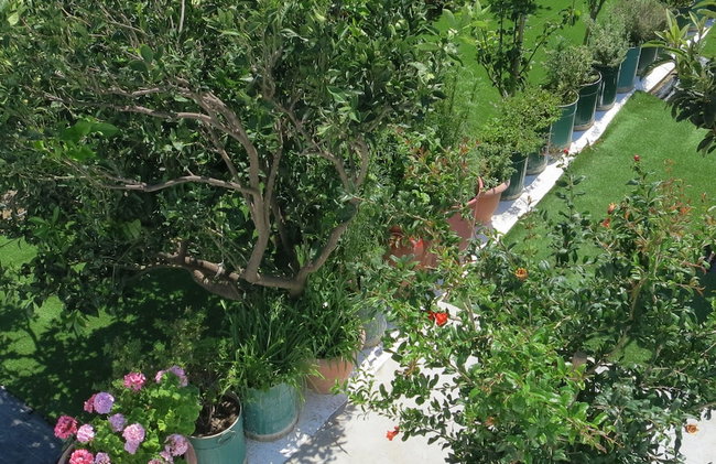 Room-andoni's House in Pitrofos Andros i - Photo 20