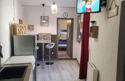 Le Phoenix 30 m2 - lumineux et bien agencé - Foto 8