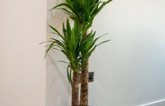 Sweet Stay, 2 Bed Luxury Apartment close to Birmingham Central - Foto 9