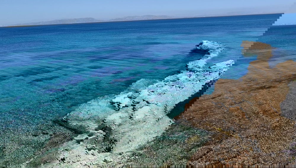 Antigone by Frangki - Foto 1, Habitación